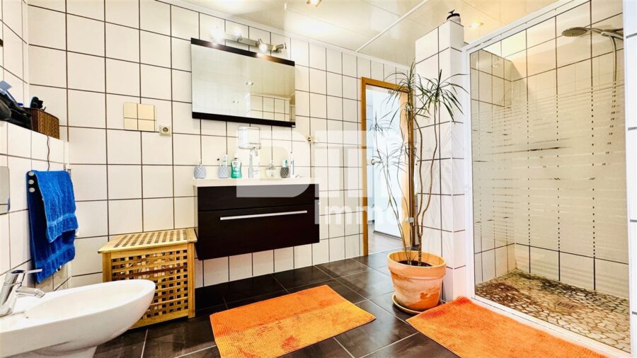 Großzügiges Ein- bis Zweifamilienhaus mit Terrasse und großem Garten - EG Badezimmer Wanne / Dusche / Bidet
